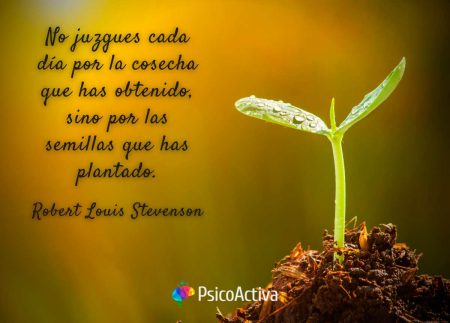 Reflexiona y alcanza tus sueños: la clave está en creer en ti Encuentra tu fuerza interior: la clave para creer en ti mismo