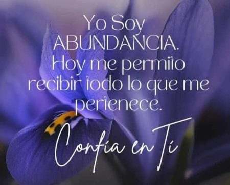Reprograma tu mente para la abundancia: 10 frases que te ayudar&aacute;n a atraer m&aacute;s dinero
