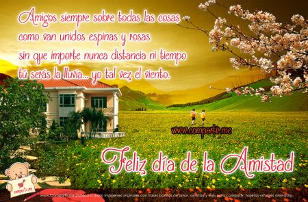 4. Mostrar gratitud