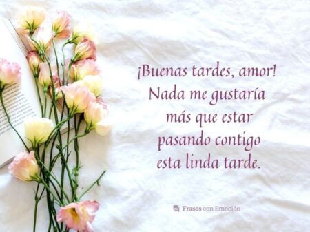 50 frases de buena tarde para compartir 50 frases de buena tarde para compartir