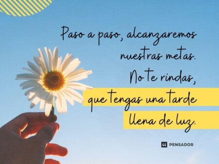 50 frases de buena tarde para compartir Formas de expresar una buena tarde