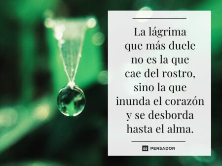 50 frases para controlar tu enojo Reflexiones para controlar el enojo: encuentra la calma interior