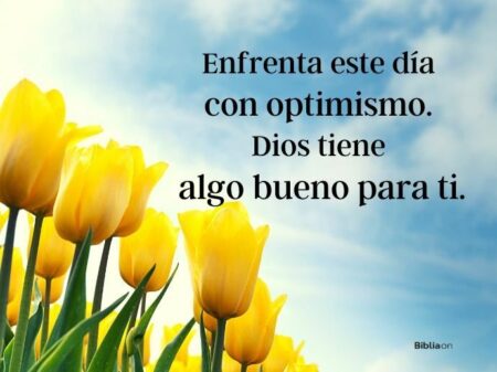 75 frases cortas de esperanza para iluminar tu día Frases de esperanza