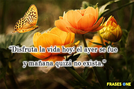 Algunas frases inspiradoras