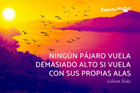 20 frases de lluvia bonitas para inspirarte en días grises Frases inspiradoras de lluvia: