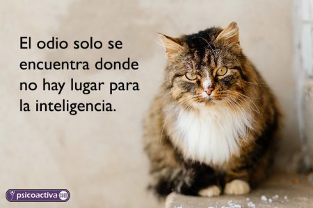 Frases sobre la mentira: