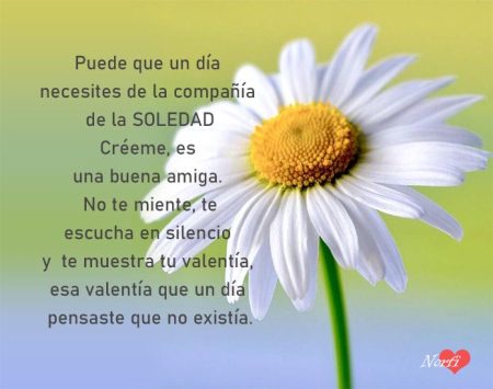 Encuentra la luz en medio de la oscuridad: Estrategias para superar la soledad y la tristeza