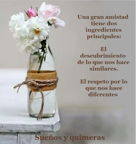 Frases inspiradoras sobre las personas que la vida pone en tu camino Frases inspiradoras sobre las personas que la vida pone en tu camino
