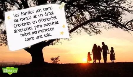 Frases de agradecimiento