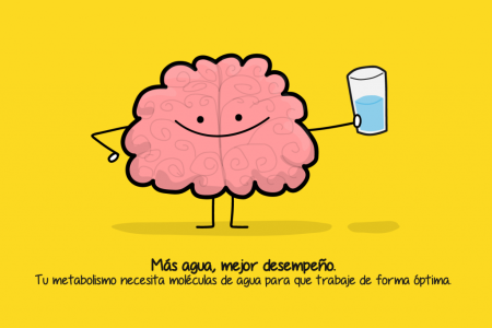 Frases Inspiradoras para Recordar Beber Agua Beneficios de Beber Agua