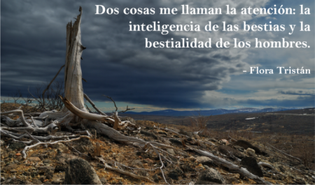 Top 15 Frases Inspiradoras sobre Responsabilidad Social 15 Frases Poderosas