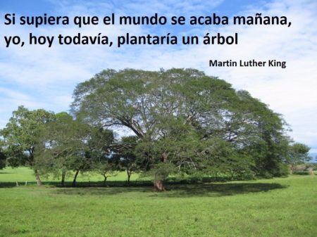 10 frases inspiradoras para proteger nuestro hogar terrestre