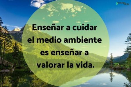 Explora las frases inspiradoras sobre el medio ambiente para los m&aacute;s peque&ntilde;os
