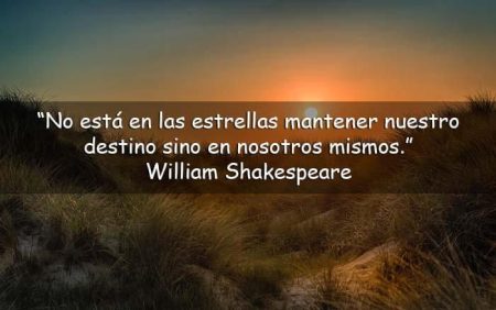 1. El poder de la curiosidad