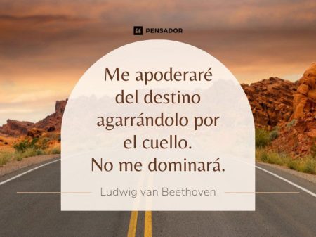 Reflexiones Finales