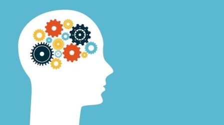 Descubre el modelo intuitivo para tomar decisiones con éxito Modelo de satisfacción