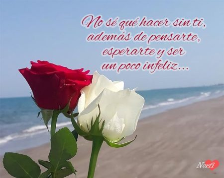 Frases de nostalgia de amor que te harán revivir viejos recuerdos Una mirada introspectiva sobre la nostalgia