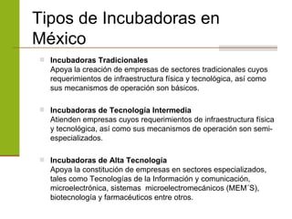 Impulsa tu Startup: Las Mejores Incubadoras que Transformar&aacute;n tu Idea en &Eacute;xito en 2024