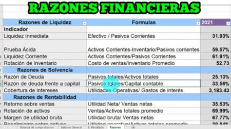 Los 10 principales indicadores financieros de una empresa: fórmulas y ejemplos Optimiza la gestión financiera de tu empresa con el fondo de maniobra y el ratio de liquidez
