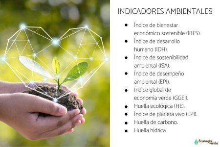 Entendiendo la importancia de una Empresa Socialmente Responsable