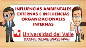 Explorando los factores que influyen en nuestro entorno: internos y externos.