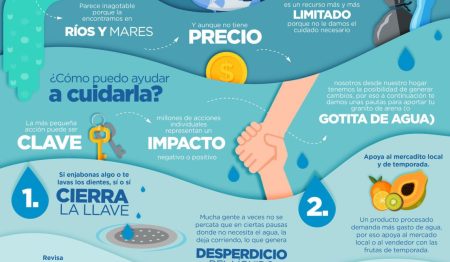 Optimiza tu conocimiento sobre el cuidado del agua con esta &uacute;til herramienta visual