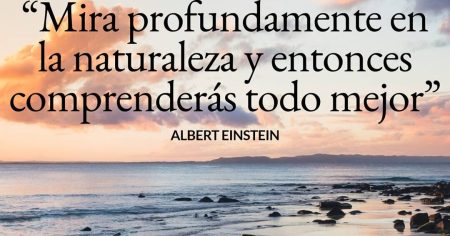 10 frases sobre la limpieza que te inspirarán a mantener tu hogar impecable La importancia de la limpieza: lecciones de orden y disciplina