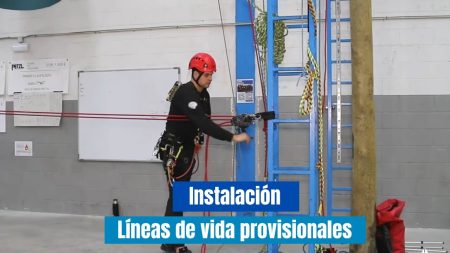 Construye tu camino: creando tu l&iacute;nea de vida de manera f&aacute;cil