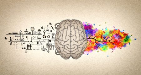 La relevancia de las emociones en nuestra vida diaria Relaciones