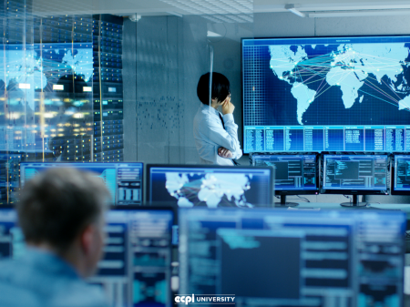 Todo lo que necesitas saber sobre gestión de la tecnología Monitoreo y evaluación: