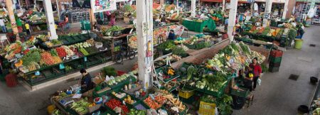 Mercados de competencia perfecta: ejemplos y características Entendiendo las cualidades de la competencia perfecta