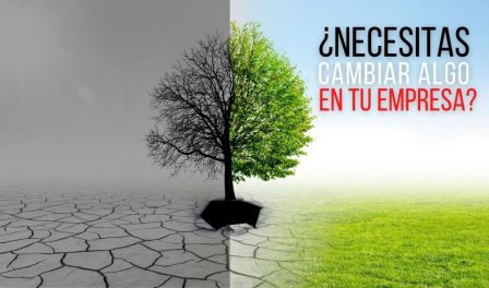 Guía completa sobre los objetivos de la dirección de una empresa Guía completa sobre los objetivos de la dirección de una empresa