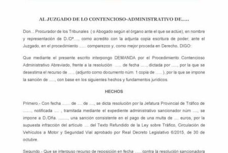 Gu&iacute;a paso a paso para redactar una demanda en Espa&ntilde;a