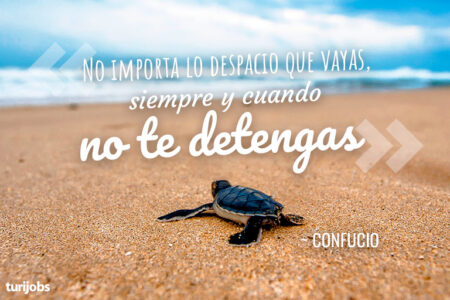 Frases positivas para desear buenos días en un lunes genial Inspírate con estas reflexiones y dedicatorias para empezar la semana con buen pie