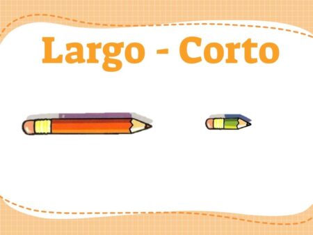 5 Ejemplos de Objetos Largos y Cortos que te Sorprenderán