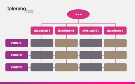 Optimiza la organizaci&oacute;n de tu empresa con la estructura matricial: conoce sus beneficios