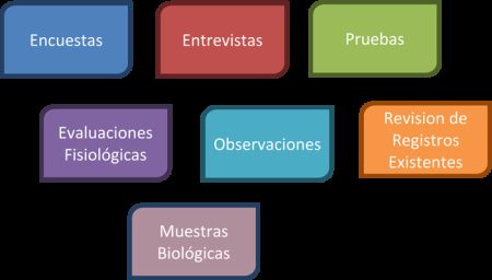 Pasos Clave del Método Estadístico Pasos Clave del Método Estadístico