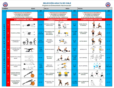 Rutina de ejercicios para mujeres: cómo organizar tu plan de entrenamiento Optimiza tu entrenamiento con esta estrategia para dividir tu rutina de ejercicios