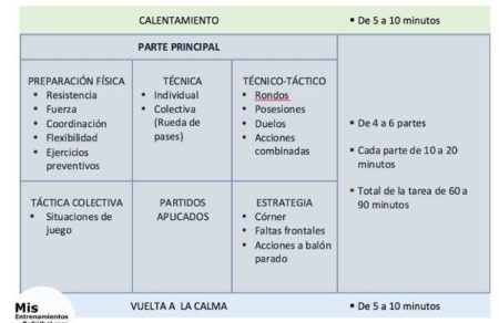 Rutina de ejercicios para mujeres: cómo organizar tu plan de entrenamiento Rutina de ejercicios para mujeres: cómo organizar tu plan de entrenamiento