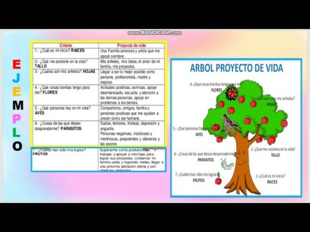 Guía completa para hacer un plan de vida en 8 pasos Paso 5: Mantén una actitud positiva