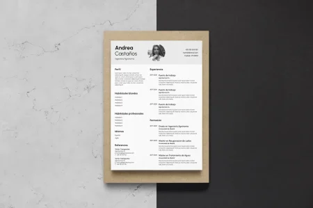 2. Utiliza un dise&ntilde;o limpio y profesional