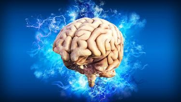 La increíble potencia de la mente humana El increíble impacto de nuestros pensamientos en nuestra realidad