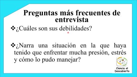 Desarrollo de la entrevista