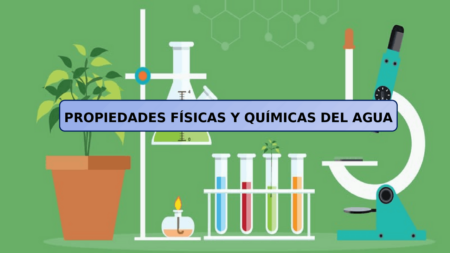 Organizaci&oacute;n de los grupos