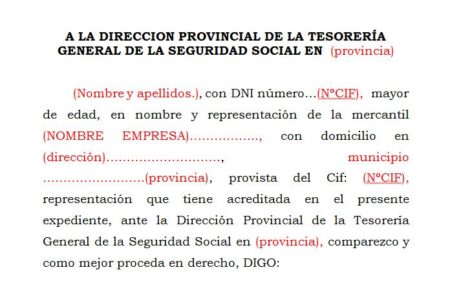 &iquest;Qu&eacute; es el modelo de reclamaci&oacute;n previa INSS en formato PDF?