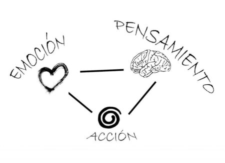 La importancia de las emociones en su bienestar: todo lo que necesitas saber La importancia de las emociones en su bienestar: todo lo que necesitas saber