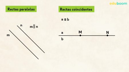 5 ejemplos prácticos de segmentos que te sorprenderán
