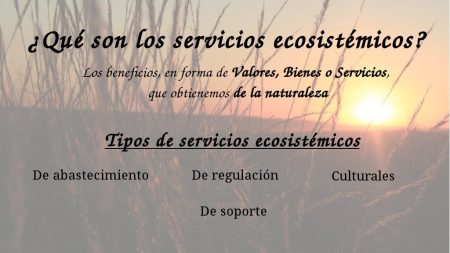 5. Acceso a Tecnología Avanzada