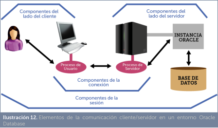 Importancia de los servicios de base de datos
