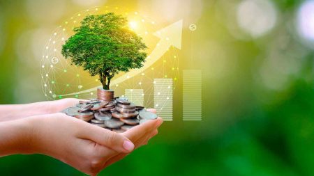 Ejemplo de Responsabilidad Social Ambiental: Casos Inspiradores Ejemplo de Responsabilidad Social Ambiental: Casos Inspiradores